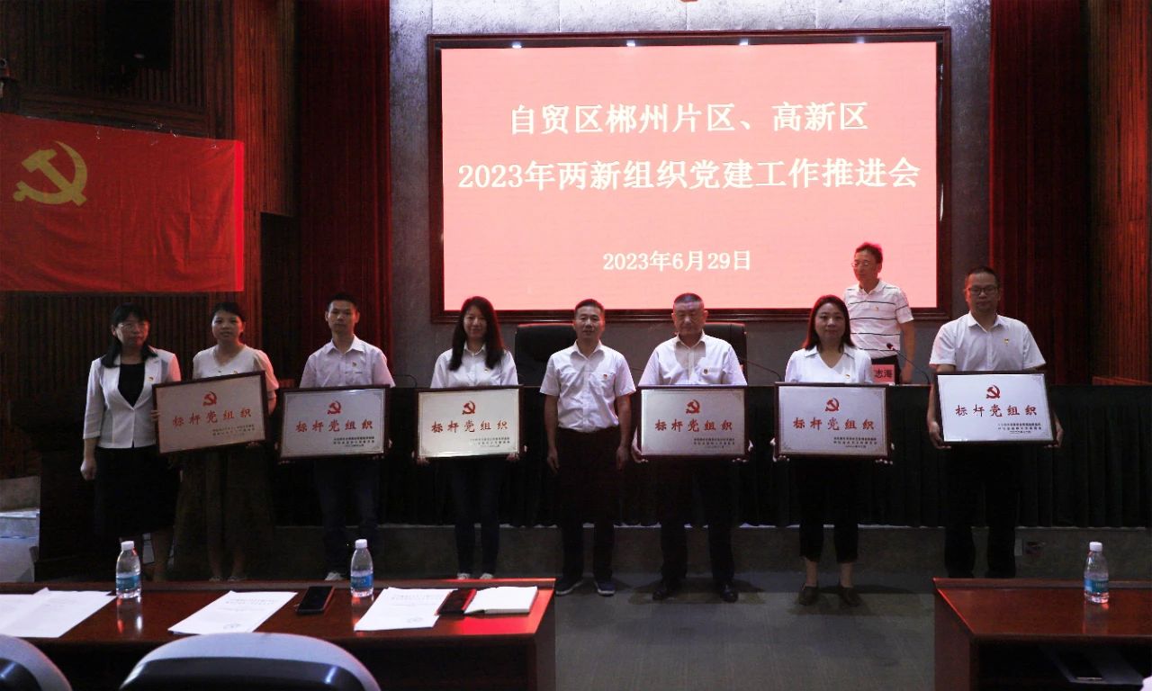 红心向党庆“七一”，踔厉奋发践初心。6月29日，郴州自贸片区、高新区举行2023年两新党建工作推进会，园区党工委副书记、两新综合党委书记雷向进出席会议并讲话。