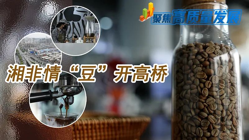 依托中非经贸合作创新示范园、非洲非资源型产品集散交易加工中心、湖南自贸试验区长沙片区雨花区块等多重平台，高桥大市场打造了非洲咖啡交易中心，形成了一条集非洲咖啡采购、研发生产、品牌孵化、展示销售于一体的全产业链体系。2022年，高桥大市场咖啡销售额达10亿元，销售咖啡豆2000吨，其中非洲咖啡豆占总销量的40%。 
