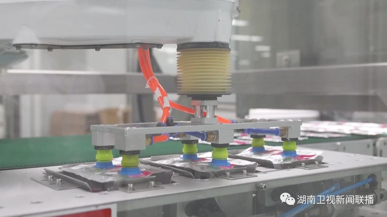 打造国家重要先进制造业高地，是习近平总书记为湖南擘画的“三个高地”美好蓝图之一。牢记总书记的殷殷嘱托，湖南在建设现代化产业体系、提高科技创新能力、数字化智能化转型等方面持续发力，不断提升核心竞争力，推动制造业高质量发展，着力打造国家重要先进制造业高地。