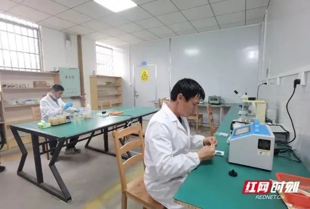 眼光前瞻、奋勇争先，自2022年以来，郴州市科技局围绕有色金属新材料、氟化工、锂电新能源等重点领域，打造“3+3”成果转化中试基地“郴州样板”，推动重大科技成果转化和产业化。