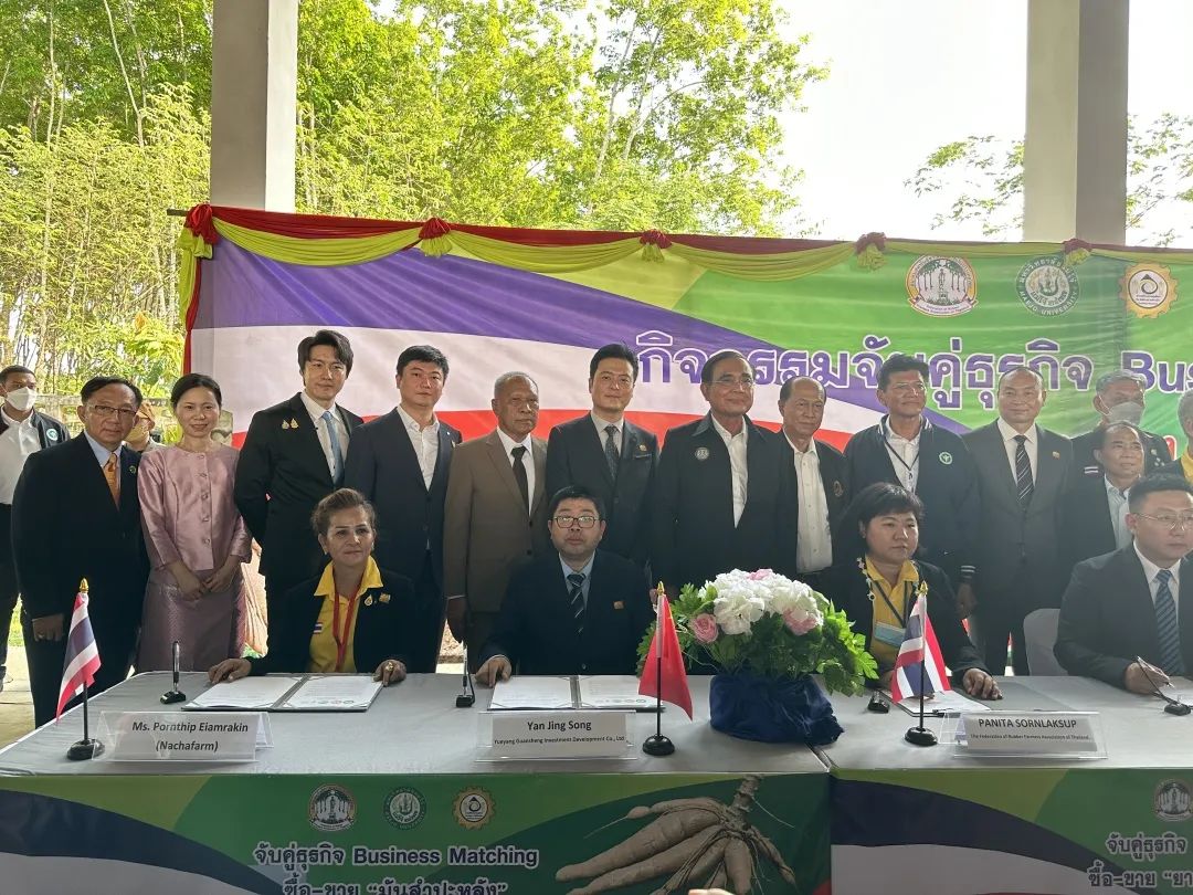 观盛公司是岳阳城陵矶综合保税区区属国有企业，是岳阳最大的外贸企业，业务涵盖粮食农副、原油石化、矿产、平行进口汽车、冻品、橡胶、木材等多个板块。2022年外贸业务突破300亿元。此次海外直接采购木薯，使城陵矶综合保税区在进口玉米、大豆等进口粮食的基础上增加了新品种，拓展了新渠道，加快了货物流转，降低了采购成本。更大的价格优势将进一步促进新港区粮食产业全链条发展，为园区带来近1000万元的经济效益。