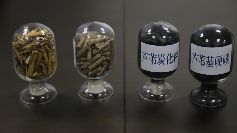 芦苇成为钠电负极材料（硬炭）的演变过程中的四种状态