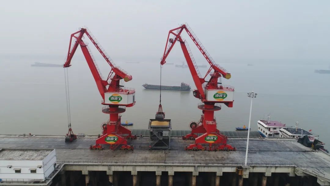 日前，一条满载6万吨巴西玉米的海轮抵达张家港，它们将被分批转运至江轮上，最终到达目的港城陵矶港。截至目前，城陵矶新港区两家区属国有企业——观盛、邦盛公司已完成进口粮食412万吨，比去年全区的粮食进口量超过了12%。