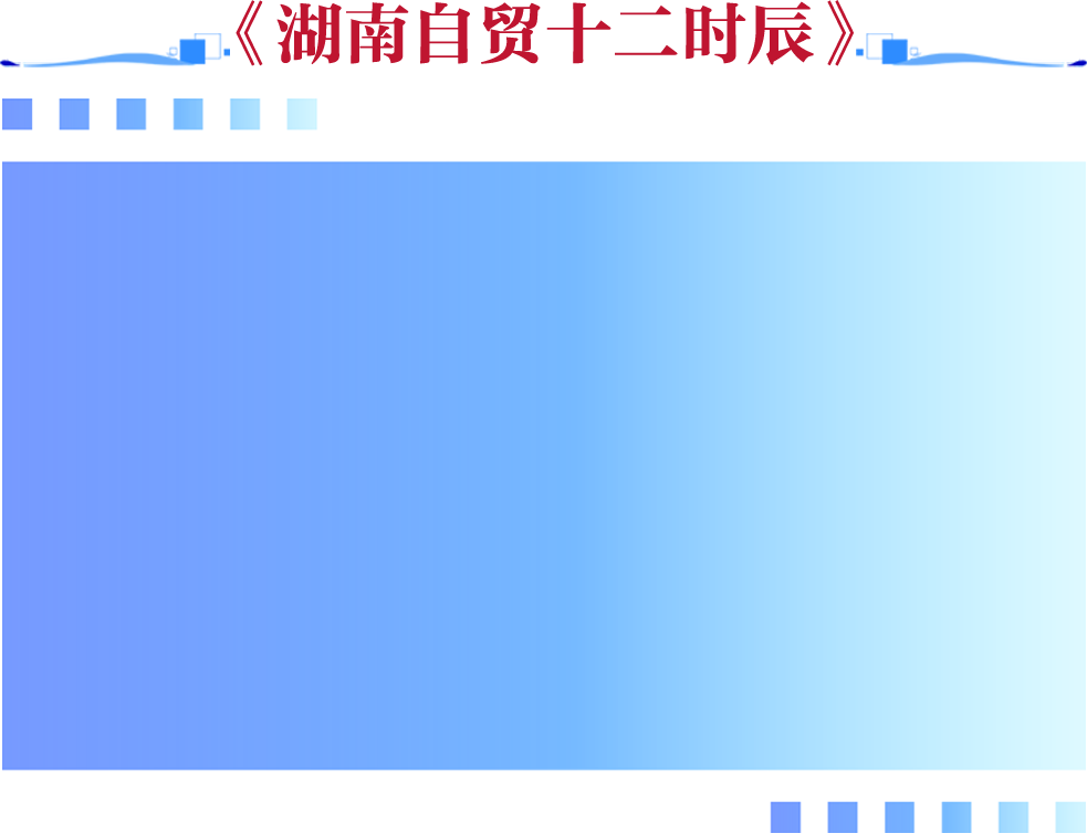 《自贸人的24小时》