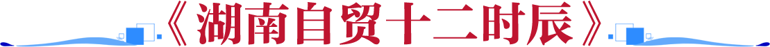 《自贸人的24小时》